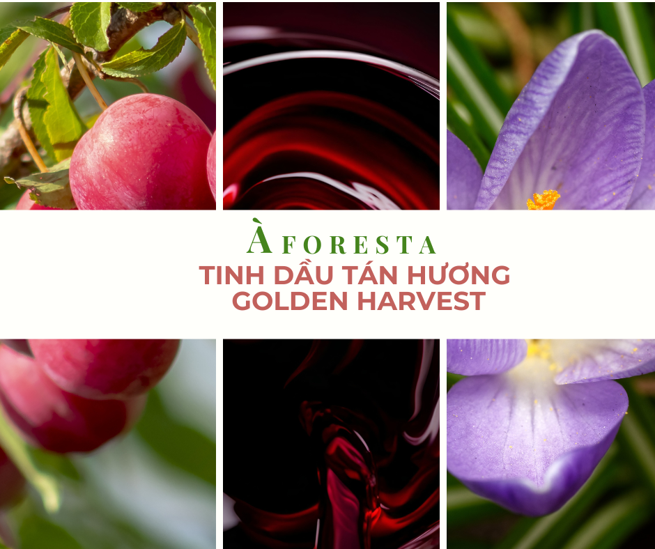Tinh Dầu Tán Hương GOLDEN HARVEST - Hương hoa & trái cây.